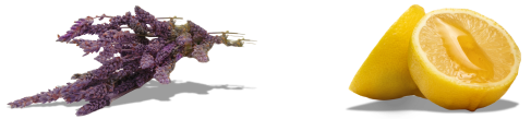 Meta Image for Lavender & Honey Lemonade