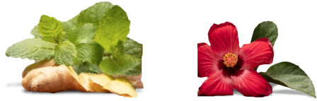 Meta Image for NotTooSweet Variety Pack
